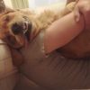 cuddlecaliguy