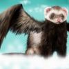 flyingferret