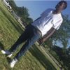 gavion