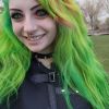TheFriendlyFae