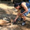 Karrthus