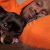 cuddybudds