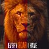Lion13