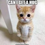 quitecuddle15