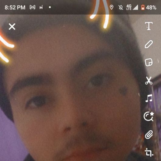 ninteencuddler