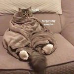 FuegitaChiquita