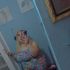 Lynnpoo22