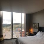 Cozette_Comfy