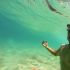 SurfAddict11