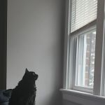syddsurreal