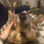snugglyray