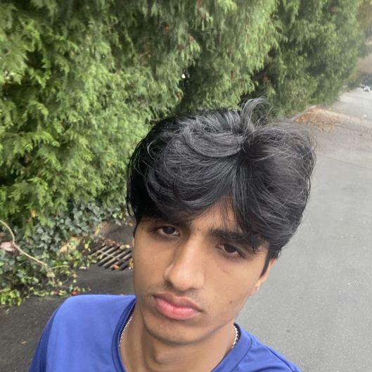 dilraj33