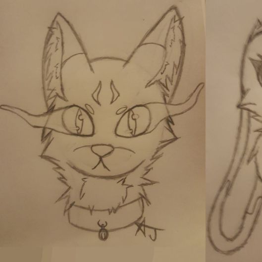 Kittypaw's picture 8 of 9