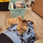 cuddlyeverafter