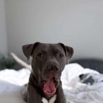 MelNYC