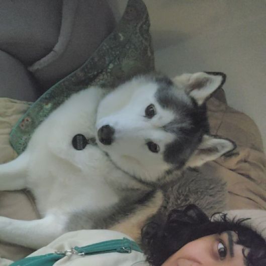 EarthlyCuddler's picture 6 of 7