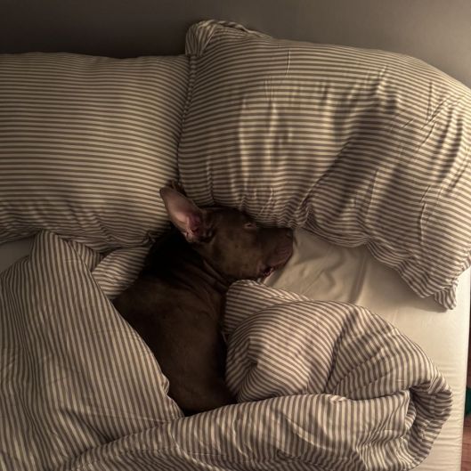 cuddlebudbklyn's picture 7 of 8