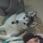 EarthlyCuddler