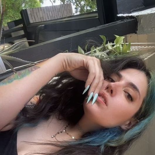 LittleSabotager Picture