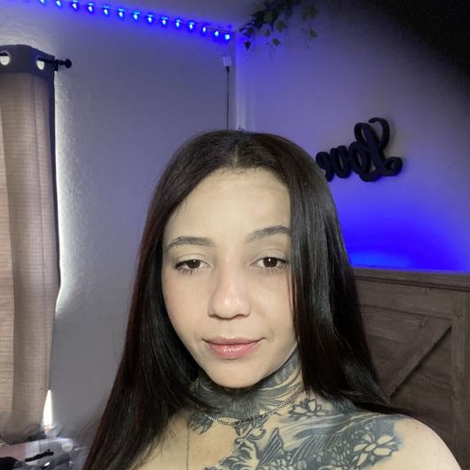softvibes Picture