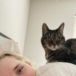 sillysleepygirl