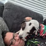 QuixoticJoey