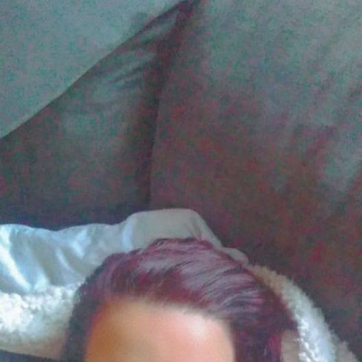 FoxyGamer88