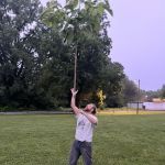 RootedPresence