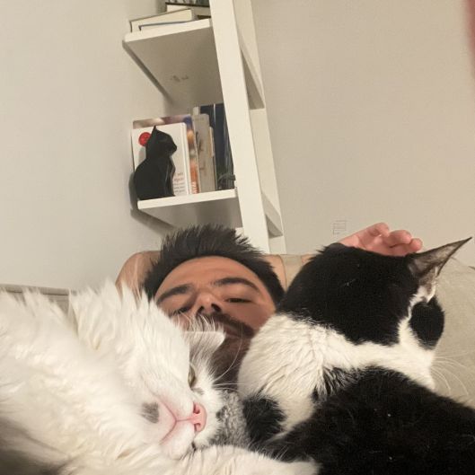 catwhocuddles's picture 4 of 4