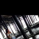 Abarron0966