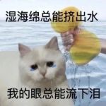 HeartBroken4619