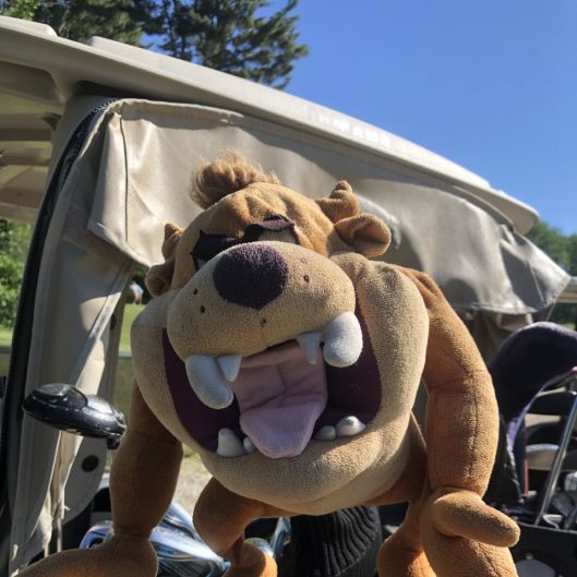 Shygolfer4fun