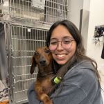 cuteandcuddlyFW