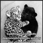 EliteCuddles