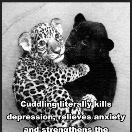 EliteCuddles's picture 3 of 5