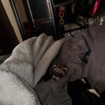 Lil1