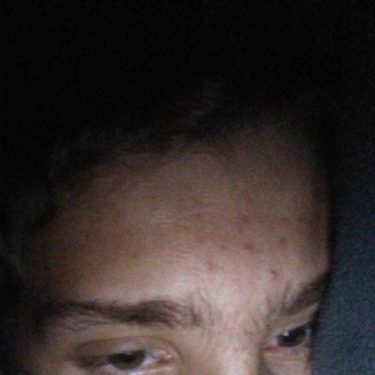 dinolfo