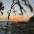 nearbeach