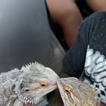 CuddlesbyFee
