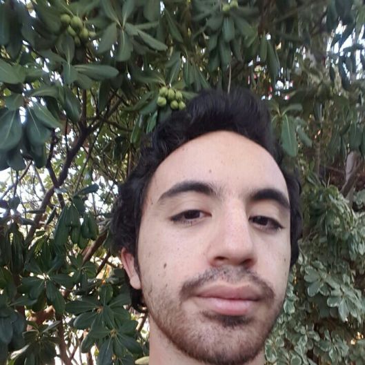 uyeda