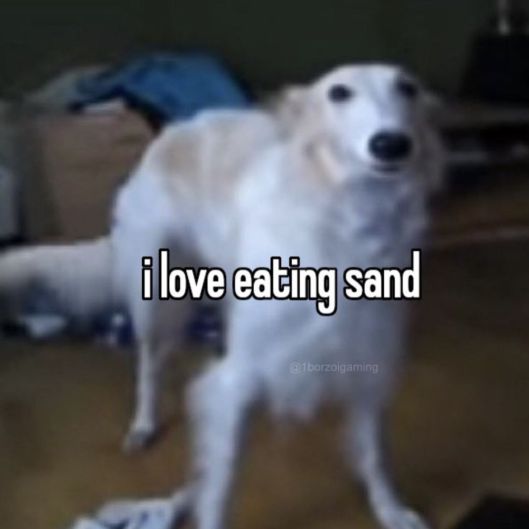 cuddle__enjoyer
