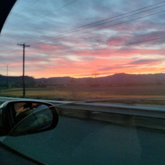 Goodvibetribe's picture 3 of 14