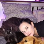 lilmeows