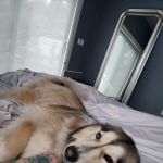 VanessaSnugs