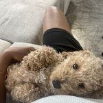 Teya_Bear
