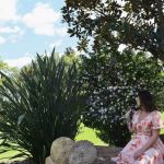 healingspaces
