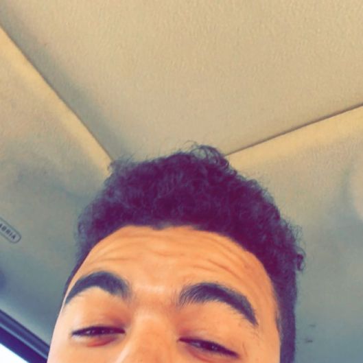 dominicsenpai