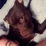 Sarahlily34
