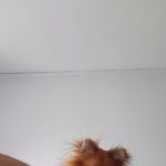 squeezemeh