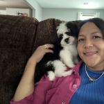 Dhalia